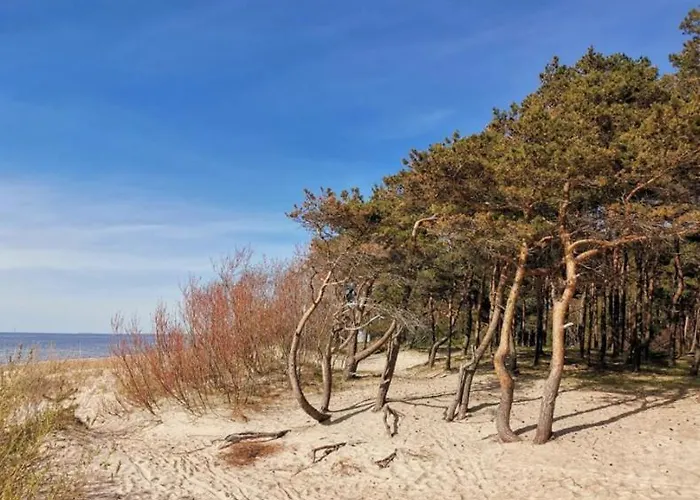 アパート Uoga Apartamentas, Mano Jura 2